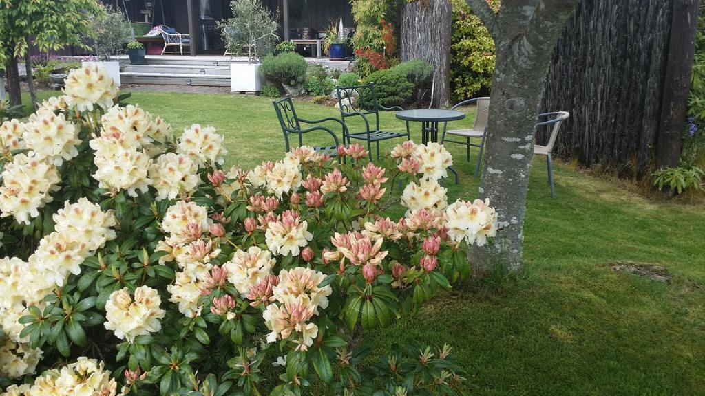 Alpine Rock B&B Te Anau Zewnętrze zdjęcie
